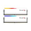 kit-ram-g-6-100x100