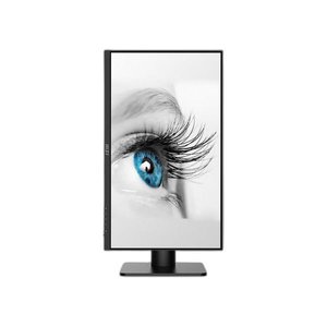 Màn hình máy tính MSI PRO MP243XP (24in / IPS / FHD / 100Hz / 4ms)